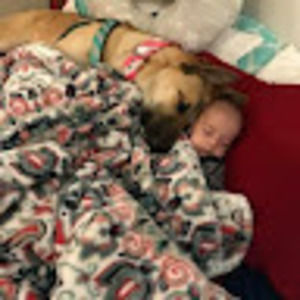 Meet your Posher, Lillian